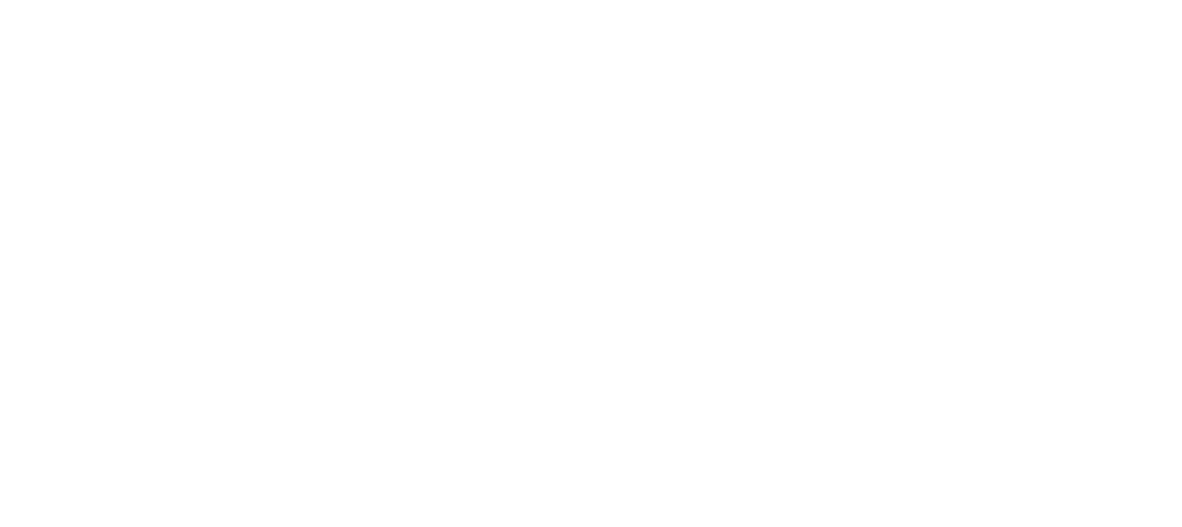 Carnegie Group